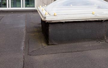 disadvantages of Sloley flat roofs